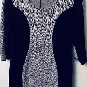 Papillon Blanc Gray and Black Knit Dress